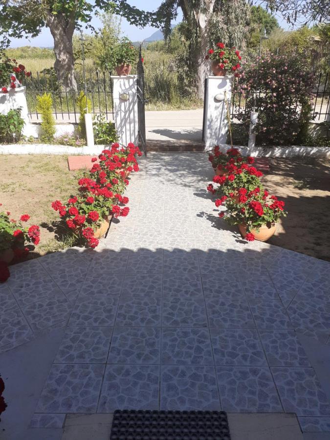 Issos Apartments Agios Georgios  Zewnętrze zdjęcie